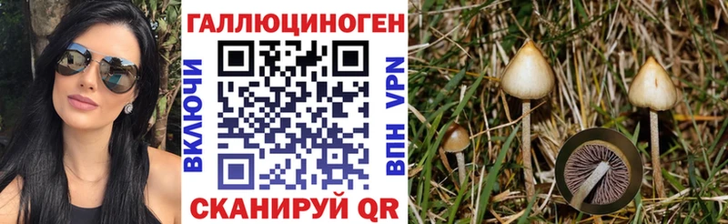 Псилоцибиновые грибы Magic Shrooms  площадка Telegram  Рыбинск  blacksprut ССЫЛКА 