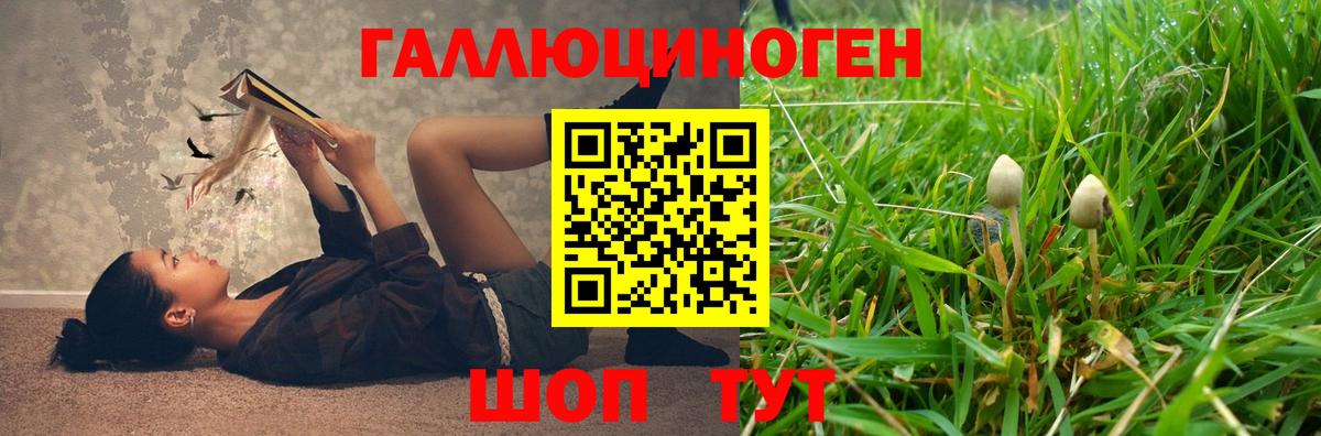 Галлюциногенные грибы Cubensis Рыбинск