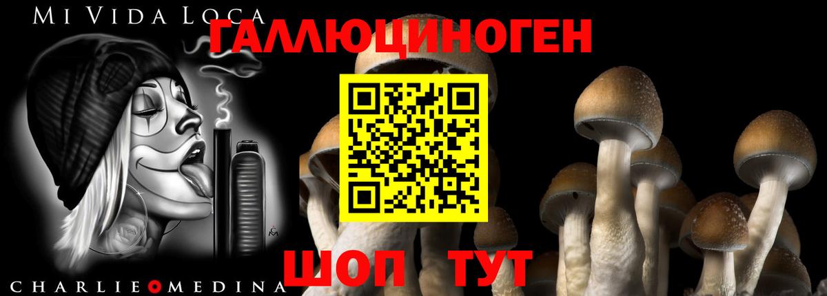 Галлюциногенные грибы прущие грибы  Вход с VPN  наркотики  Рыбинск 